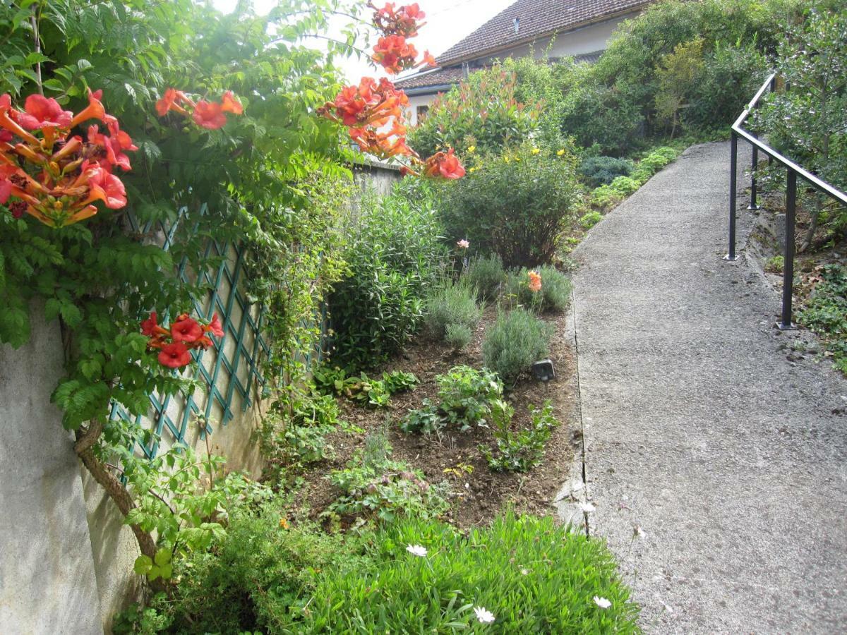 Isatis Bagnères-de-Bigorre Exterior foto